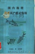 国内池塘养鱼高产模式集锦     PDF电子版封面    吴琅虎，李杰编著 