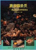 珊瑚礁鱼类  南沙群岛及热带观赏鱼   1994  PDF电子版封面  7030044339  陈清潮，蔡永贞编著 