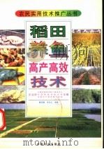 稻田养鱼高产高效技术   1998  PDF电子版封面  7109049876  曹凯德，肖友红编著 