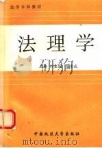 法理学   1992  PDF电子版封面  7562008248  张贵成，刘金国主编；王启富等撰 