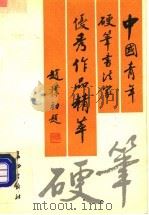 中国青年硬笔书法家优秀作品精萃（1990 PDF版）