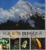 川西珍稀植物及花卉（1985 PDF版）