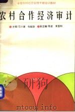 农村合作经济审计   1992  PDF电子版封面  7503612282  范小建，张毓琮主编 