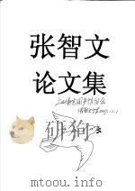 张智文论文集     PDF电子版封面     