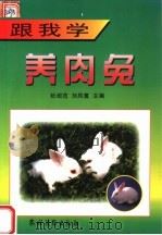 跟我学养肉兔   1999  PDF电子版封面  7504829544  杜绍范，刘凤翥主编 