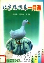 北京鸭饲养一月通（1998 PDF版）