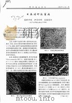 日本对虾弧菌病     PDF电子版封面    高桥幸则，伊丹利明，近藤昌和 