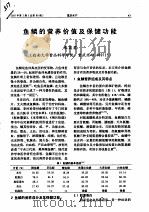 鱼鳞的营养价值及保健功能     PDF电子版封面    朱国君 