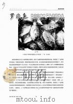 罗非鱼的高密度工厂化养殖技术     PDF电子版封面    王广军 