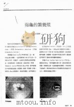 海龟的繁养殖     PDF电子版封面    宋薰华 
