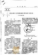 冰岛扇贝生殖细胞发育的季节变化     PDF电子版封面    J.H.SUNDET等 