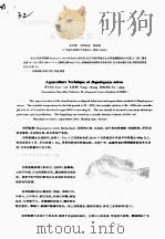 斜带髭鲷养殖技术     PDF电子版封面    王云新，刘付永忠，张玉清 