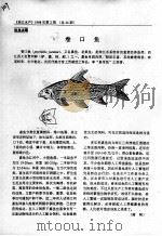 卷口鱼（ PDF版）