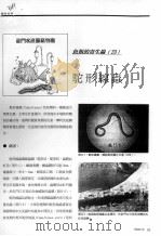驼形缐虫（ PDF版）