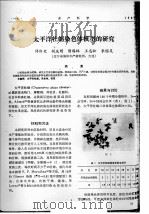 太平洋牡蛎染色体核型的研究     PDF电子版封面    许伟定，胡庆明，隋锡林，王志松，李国友 