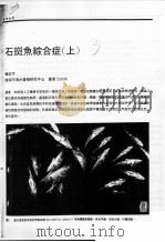 石斑鱼综合病  上（ PDF版）