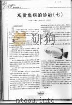 观赏鱼病的诊治  7     PDF电子版封面    阳庆潇 