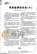 观赏鱼病的诊治  6     PDF电子版封面    阳庆潇 