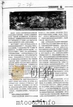热带王国的最爱：七彩神仙鱼     PDF电子版封面    文青 