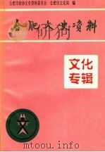 合肥文史资料第13辑文化专辑（1996 PDF版）