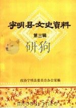 宁明县文史资料   1991  PDF电子版封面    政协宁明县委员会办公室编 