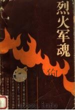 烈火军魂（1987 PDF版）