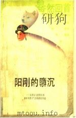 阳刚的堕沉  从贾宝玉的男女观谈中国男子气质的消长轨迹（1988 PDF版）
