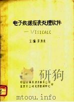电子数据报表处理软件：VISICALC     PDF电子版封面    吴洪来主编 