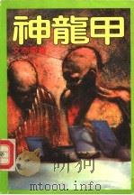 神龙甲   1992  PDF电子版封面  7805056676  文亦奇著 