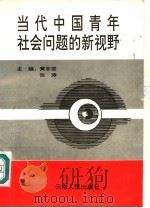 当代中国青年社会问题的新视野   1994  PDF电子版封面  7222016023  黄志坚，张涛主编；戴裕民，张秀英，张大羽副主编 