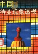 中国待业现象透视（1992 PDF版）