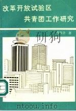 改革开放试验区共青团工作研究   1993  PDF电子版封面  7505402137  陈庆念著 