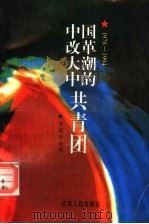 中国改革大潮中的共青团  1978-1994   1996  PDF电子版封面  7201024841  罗成全编著 