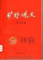 旷野观天  建设有中国特色的社会主义的探索与思考   1991  PDF电子版封面  7536314280  何太由编著 