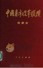 中国县（市）改革纵横  西藏卷   1994  PDF电子版封面  7010019746  江村罗布主编 