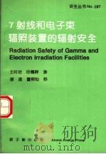 R射线和电子束辐照装置的辐射安全   1996  PDF电子版封面  7502214445  王时进，田德祥译 