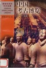 中国考古博览   1999  PDF电子版封面  7536642253  沈宁编著 