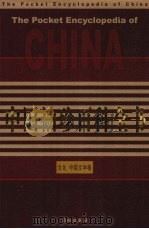 中国袖珍百科全书  文化、中国文学卷（ PDF版）