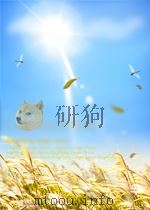 现代美国小说史   1992  PDF电子版封面    王长荣著 
