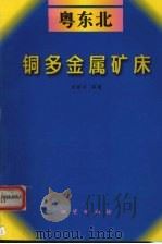 粤东北铜多金属矿床（1998 PDF版）