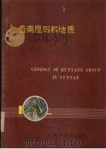 云南昆阳群地质（1990 PDF版）