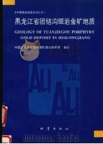 黑龙江省团结沟斑岩金矿地质   1995  PDF电子版封面  7502812172  中国人民武装警察部队黄金指挥部编著 