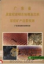 广东省泥盆纪岩相古地理及沉积、层控矿产远景预测（1991 PDF版）
