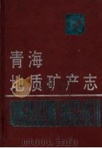青海地质矿产志（1991 PDF版）