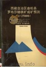 西藏自治区曲松县罗布莎铬铁矿成矿预测  1∶25000（1993 PDF版）