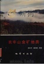 哀牢山金矿地质（1995 PDF版）