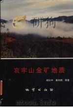 哀牢山金矿地质   1995  PDF电子版封面  7116020845  胡云中，王海平，邓坚等著 