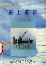 海上油流   1999  PDF电子版封面  7800972410  王宏升，梁鸿光著 