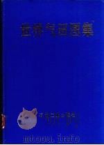 世界气田图集   1991  PDF电子版封面  7502105077  李国玉，唐养吾等编 