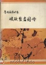 粤北层控矿床碳酸盐岩图册（1987 PDF版）